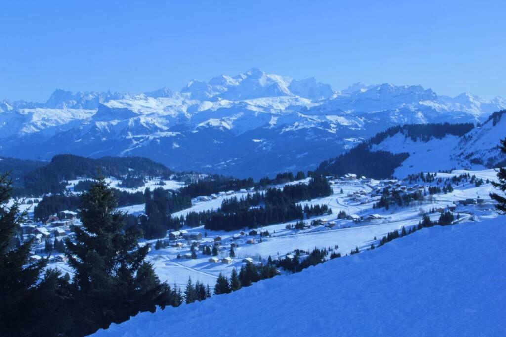 Bel App Aux Gets 10Mn Centre Ski Parking Tennis Prive Ле-Же Екстер'єр фото